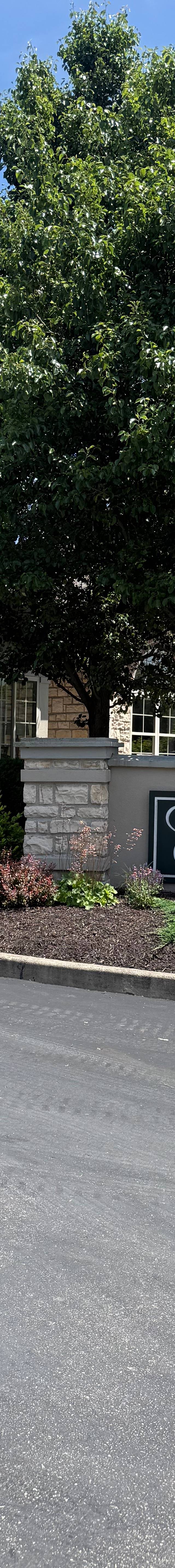 Residential Window Tint — photo 1