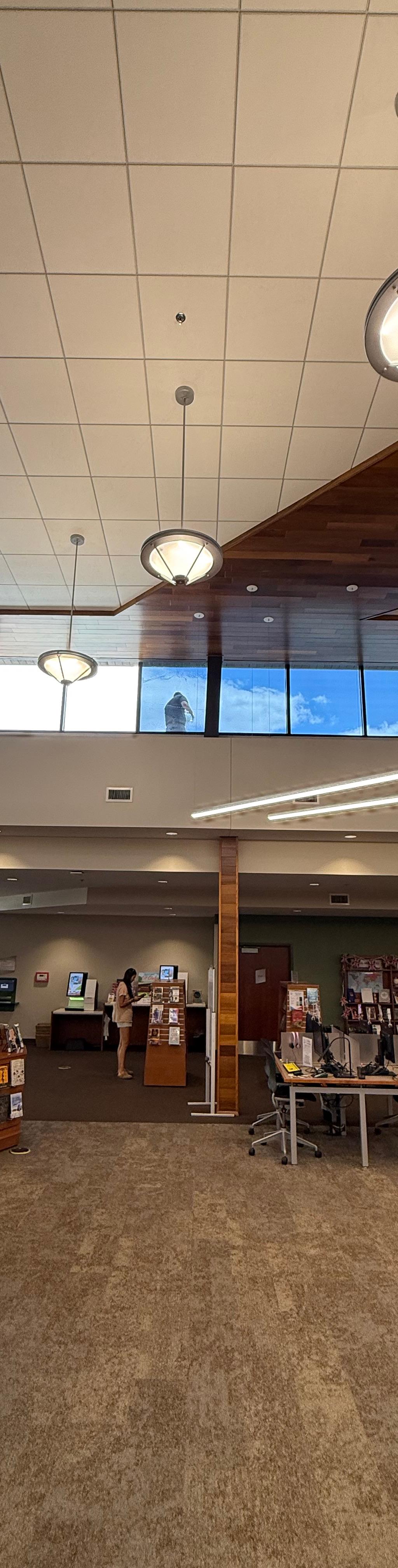 Commercial Window Tint installation in Miamisburg