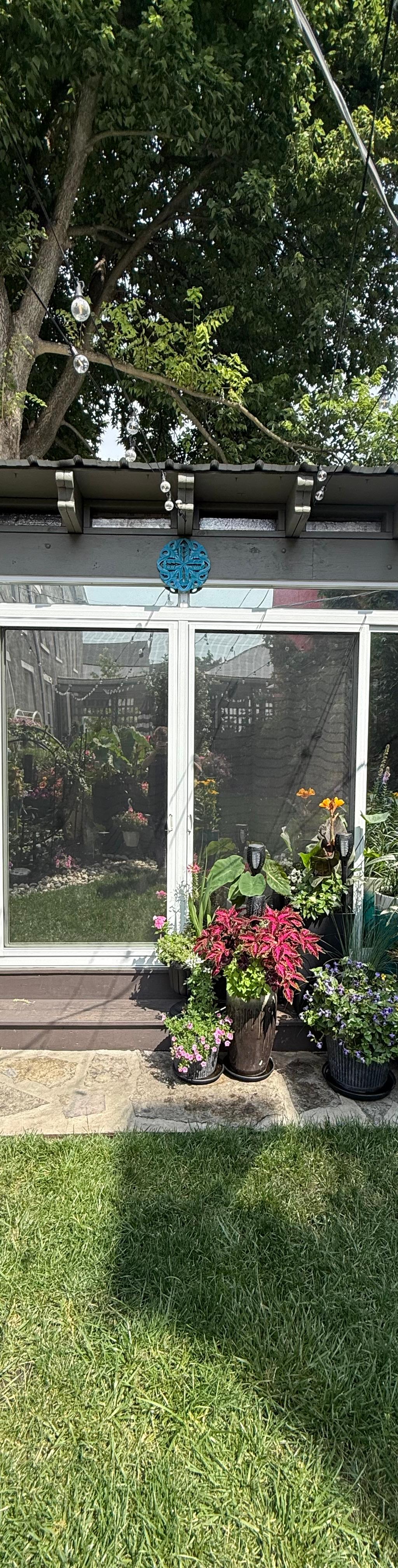 Residential Window Tint installation in Cincinnati