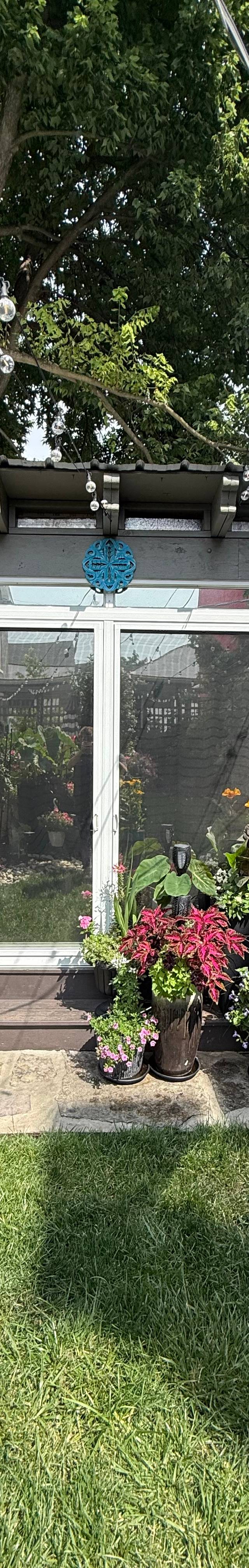 Residential Window Tint — photo 1