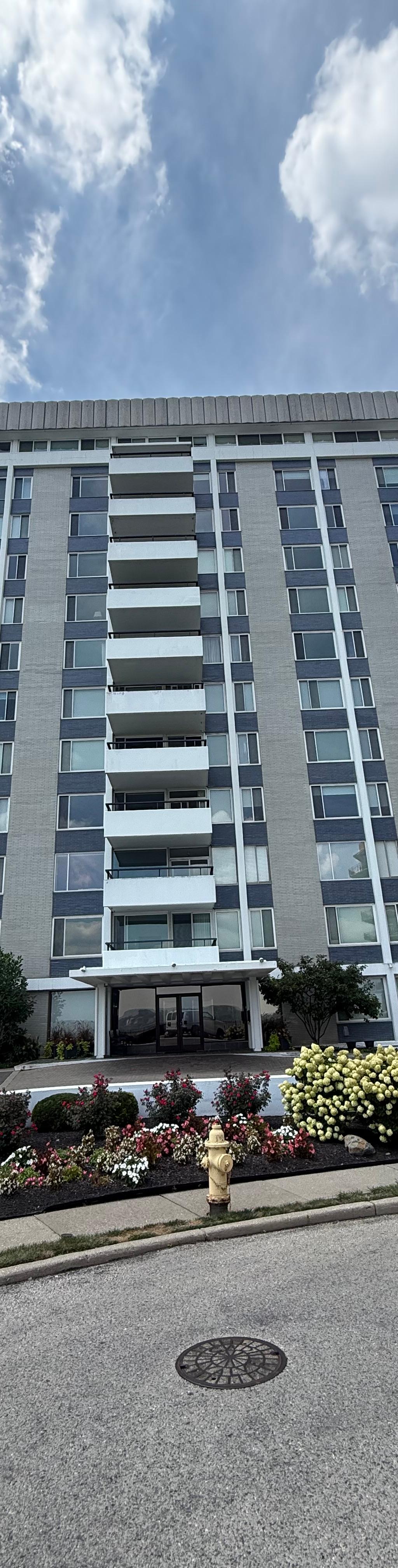 Residential Window Tint installation in Cincinnati