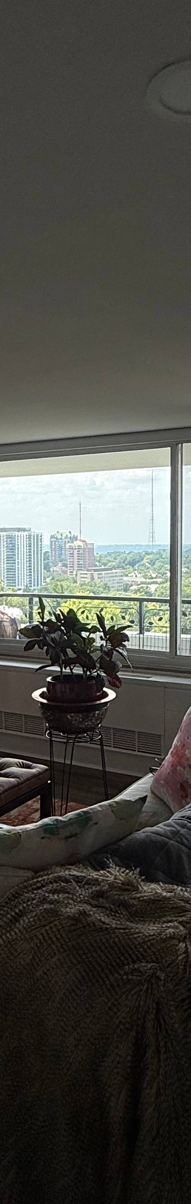 Residential Window Tint — photo 2