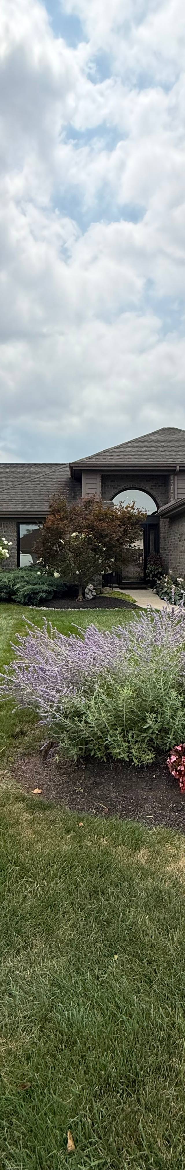 Residential Window Tint — photo 1
