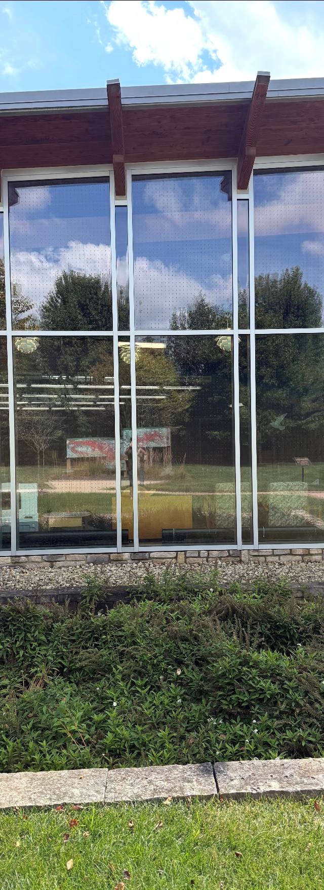 Residential Window Tint — photo 1
