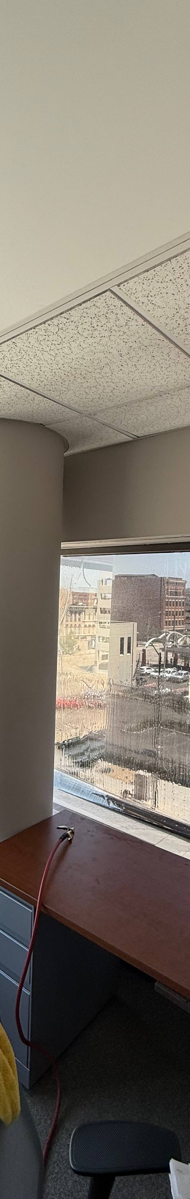 Residential Window Tint — photo 2